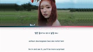 متن آهنگ Diver از YOOA + زیرنویس فارسی آنلاین