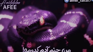 من عیـن مارم تو لونـه...❗:)