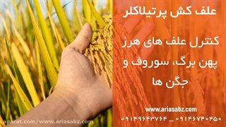 دفع طیف وسیعی از علف های هرز در مزرعه برنج با علف کش پرتیلاکلر