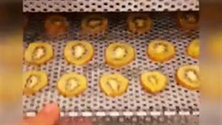 تست خشک‌کردن میوه