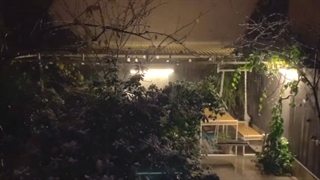 باران ، موسیقی سنتی ، عشق