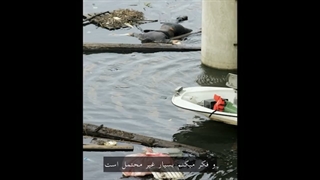 جاناتان کلین عکاس مستند بنیانگذار و رئیس شرکت جهانی رسانه دیجیتال Getty Image