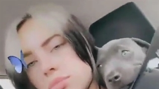 سگ بیلی هم نشدیم:|