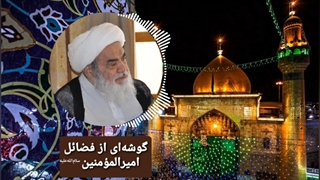 گوشه‌ای از فضائل امیرالمؤمنین سلام‌الله‌علیه(آیت الله العظمی مظاهری)