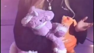 *-* Rose
