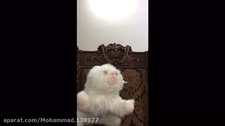 سریال طنز فیلموش ۲ - قسمت سیزدهم