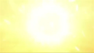 میکس از سگ های ولگرد بانگو