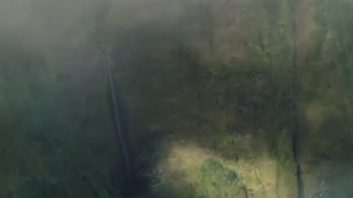 زندگی موفق داشتن