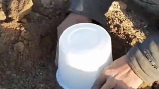 کاشت بذر پسته در زمین