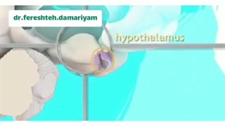 چرخه طبیعی تخمک گذاری