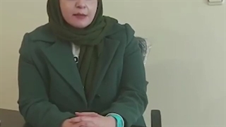 بهترین کارخانه خوراک دام