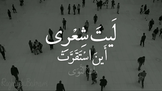 ما خسته ایم!