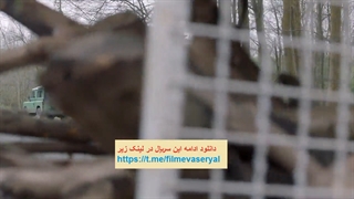 دانلود رایگان سینما خر