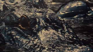 تیزر تبلیغاتی خوردو جیپ