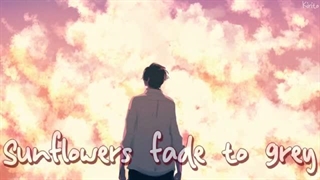 نایتکور My Mistakes (Matthew Nolan)