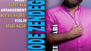 دانلود آهنگ جدید سعید نبی به نام خود زندگیمی