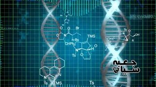 راز آفرینش هستی در این چهار حرف نهفته است ، کدنویسی انسانها چگونه انجام می گیرد ؟؟