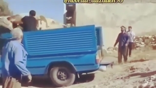 گاو خوب و گاو بد