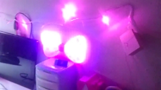 اتاق کیوت من