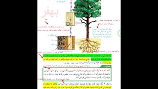 فصل 12 علوم نهم دنیای گیاهان