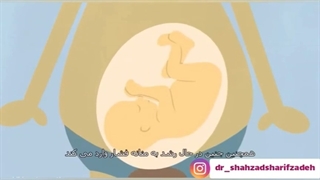 تکرار ادرار در دوران بارداری