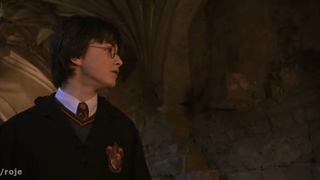 فیلم : هری پاتر و تالار اسرار :: دوبله فارسی