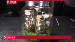 آموزش ساخت تراریوم _ ساخت باغ شیشه ای