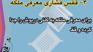 انواع قفس ملکه زنبورعسل