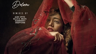 آهنگ دلوم از دیجی فلیکس و شیناب | DJ Phellix & Sheenubb – Delom