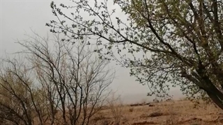 طبیعت بهاری سرایان