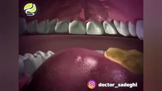 دستگاه گوارش چگونه عمل می‌کند؟