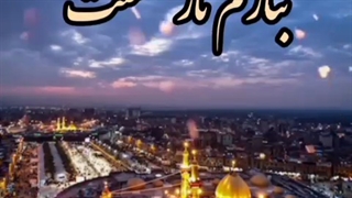 استوری ولادت حضرت ابوالفضل (ع)