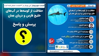 پرسش و پاسخ در وبینار حفاظت از کوسه‌ها در آب‌های خلیج فارس و دریای عمان