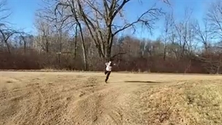 اگر مردم مثل ناروتو میدویدن