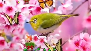 تقدیم به؟؟؟؟....همه....؟!