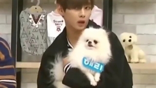 دلم واسه سگ میسوزه