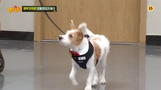 قسمت 272 برنامه knowing brothers با حضور رزی از بلک پینک و هیری از گرلز دی با زیرنویس فارسی آنلاین