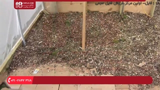 آموزش گلخانه داری و نصب کفپوش کارتونی برای گلخانه