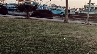 ⚜اگه با آبجیت باشی دنیا رو داری⚜