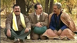 شب های برره 13