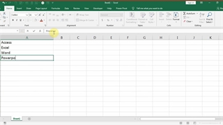 Microsoft Excel Basic session 1.1