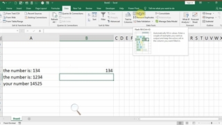 Excel-Flash Fill