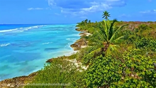 ترتیل زیبای سوره توحید با طبیعت آرام‌بخش الهی برای قرائت زیبای نماز FarsEdu.blogsky.com