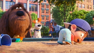 تریلر انیمیشن زندگی پهنان حیوانات خانگی 2 | The Secret Life of Pets 2